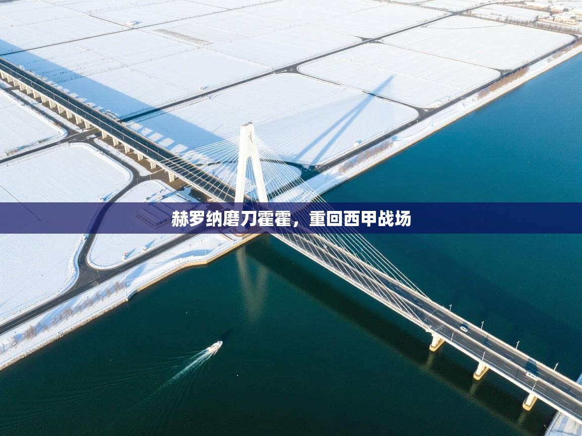 赫罗纳磨刀霍霍，重回西甲战场  第2张