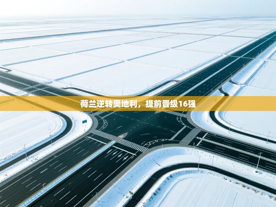 荷兰逆转奥地利,提前晋级16强 第1张