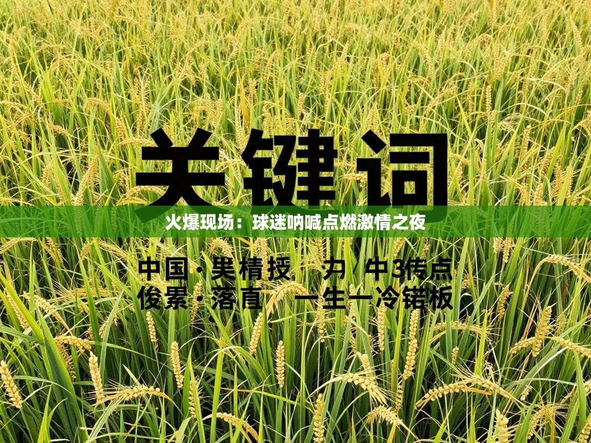 火爆现场：球迷呐喊点燃激情之夜  第1张