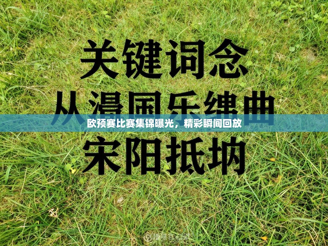 欧预赛比赛集锦曝光,精彩瞬间回放 第2张